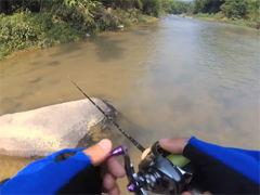 雷强视频2017,揭秘科技前沿与创新力量