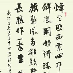 唐诗鉴赏视频,探寻古典韵律中的情感与哲理