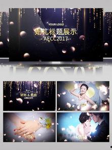 视频模板免费,免费模板助你轻松打造精彩内容