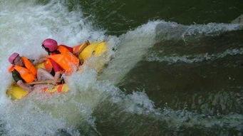 毕升漂流视频,揭秘古代印刷术的传奇之旅