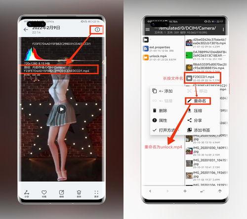 怎样把视频设置成动态壁纸,视频设置全攻略