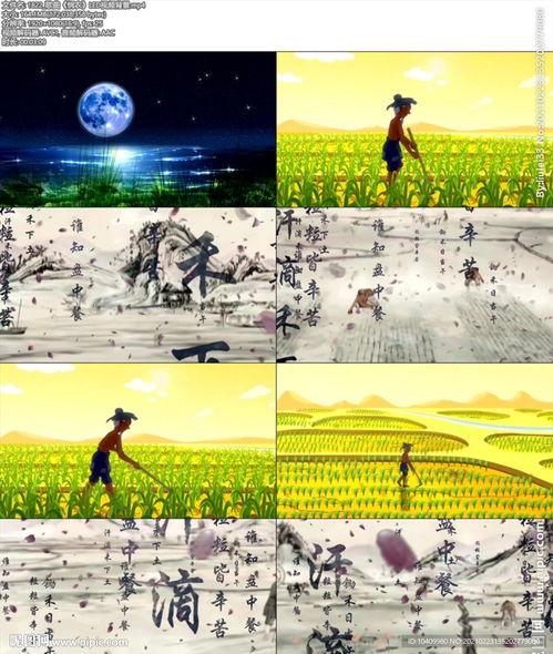 悯农视频,揭示农耕辛劳与丰收喜悦的视觉诗篇