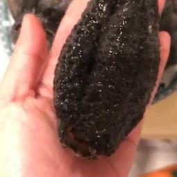 生吃海参视频,揭秘海洋滋补佳品的独特风味