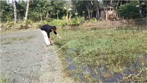 插杆钓视频,跟随视频学钓鱼新技能