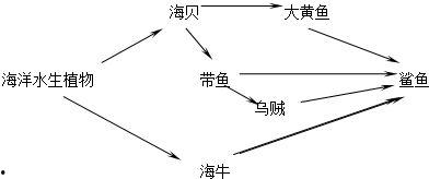 食物链和食物网视频,揭秘生态系统中食物关系的奥秘