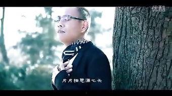 醉相思视频,穿越时空的浪漫邂逅