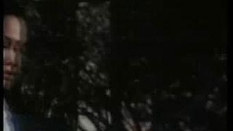 过客视频,穿越时光的影像之旅