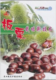 板栗修剪技术视频大全